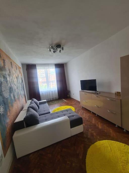 Mural Art Apartament Petrosani Ngoại thất bức ảnh
